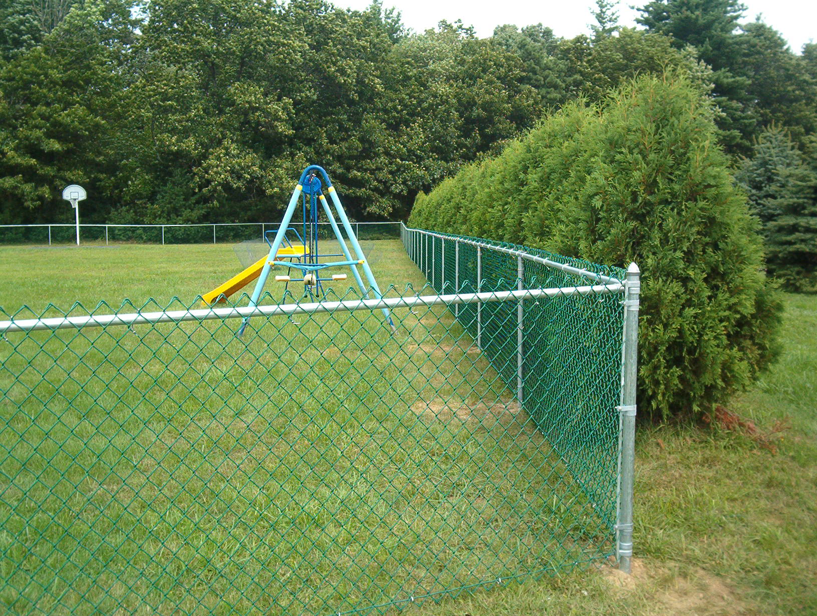 Забор из зеленой сетки рабицы
