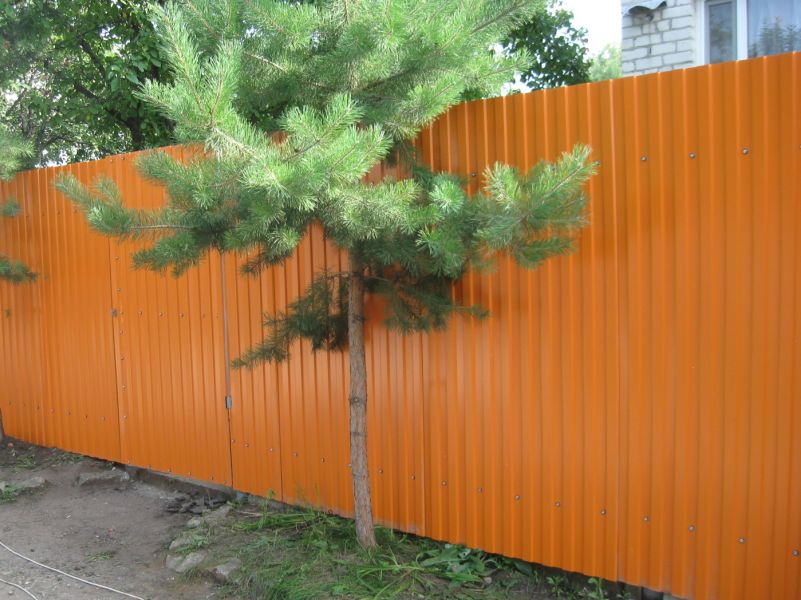 Забор из профнастила на винтовых сваях оранжевый