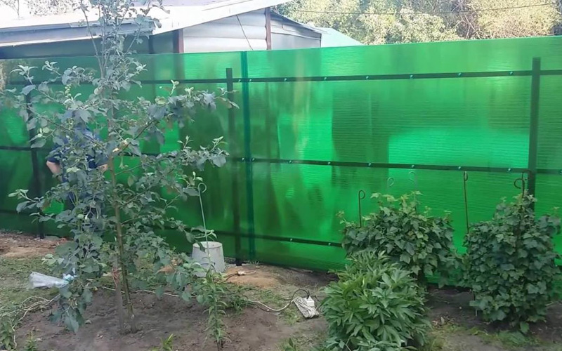 Зеленый забор для дачи из поликарбоната