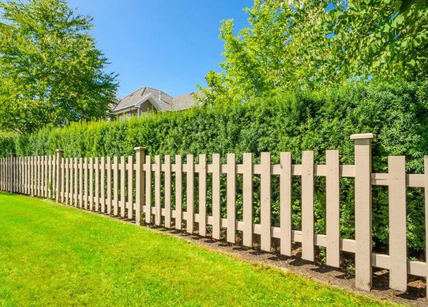 Деревянный забор на 10 соток из сосны