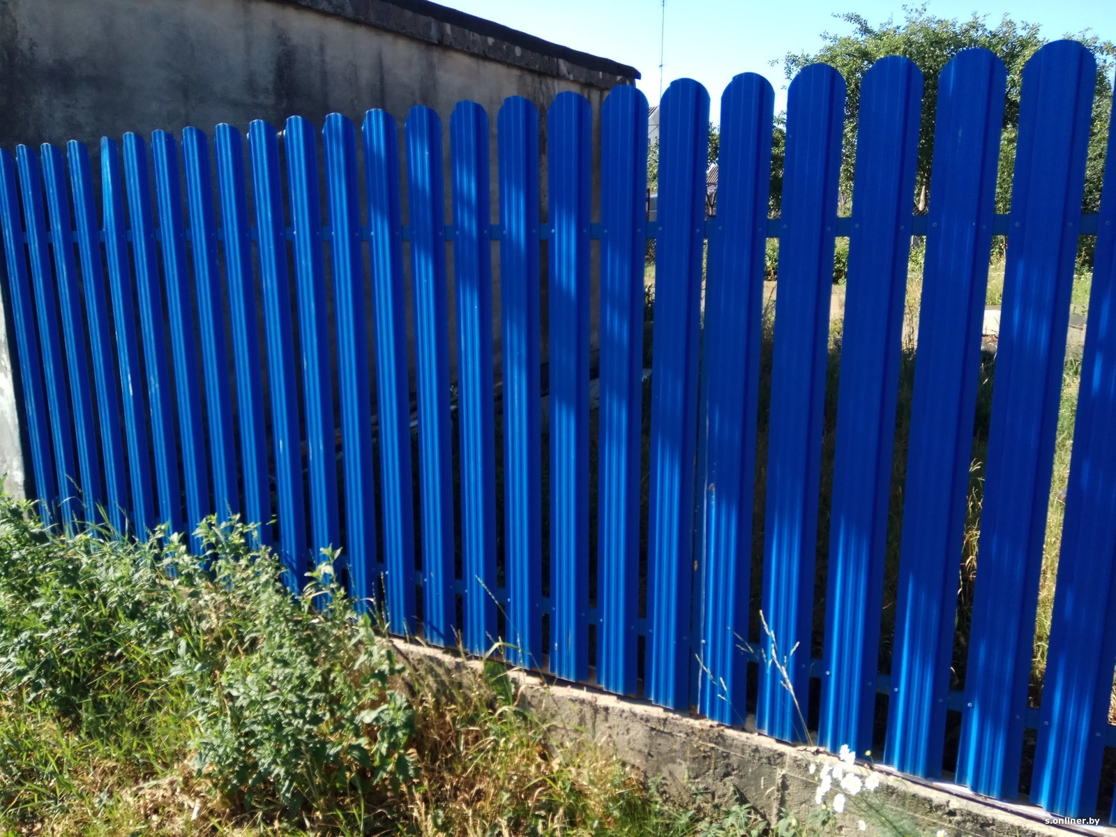 Забор из металлического штакетника синий